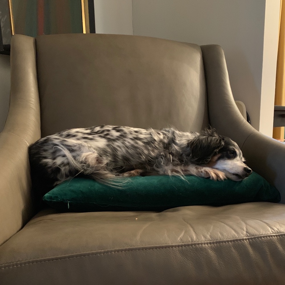 Meet your Posher, Durden